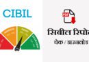 How to Check and Download CIBIL Report Free information in Hindi