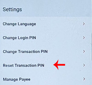 Union Vyom ka Transaction Pin kaise Reset kare Step 3